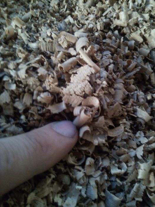 Стружка суха свіжа та тирса