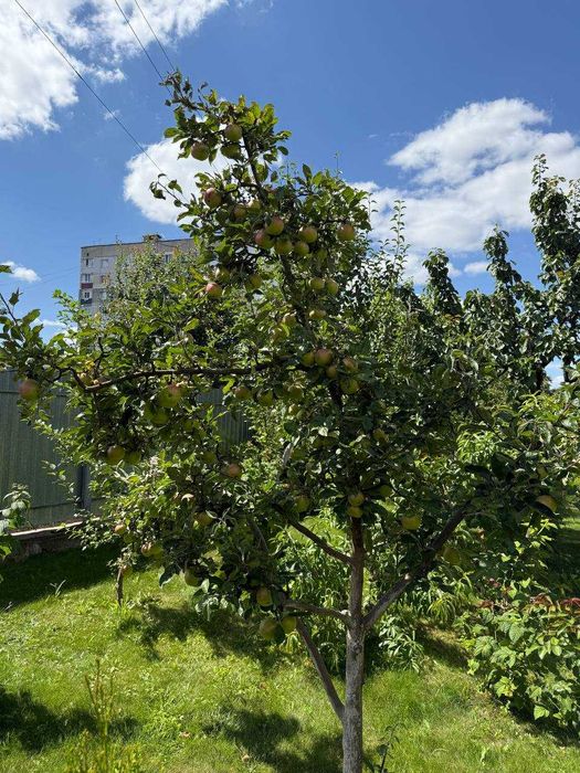 Продаж чудового будинку! Волочиськ