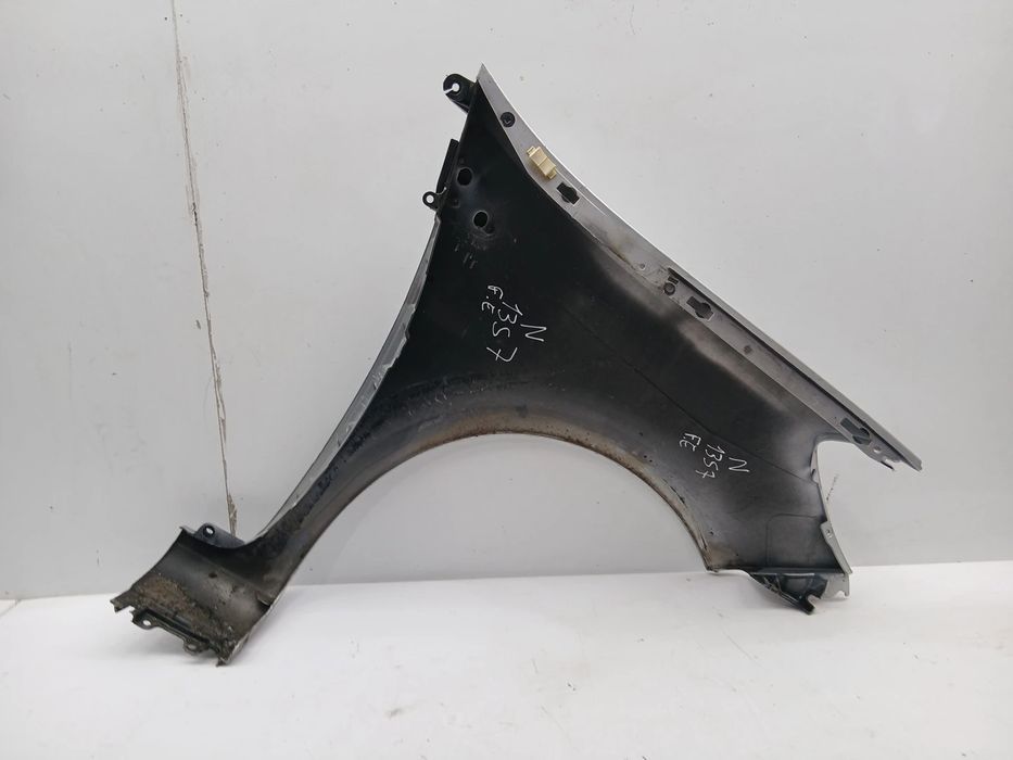 Guarda-lamas esquerdo RENAULT Clio III (BR0/1, CR0/1)