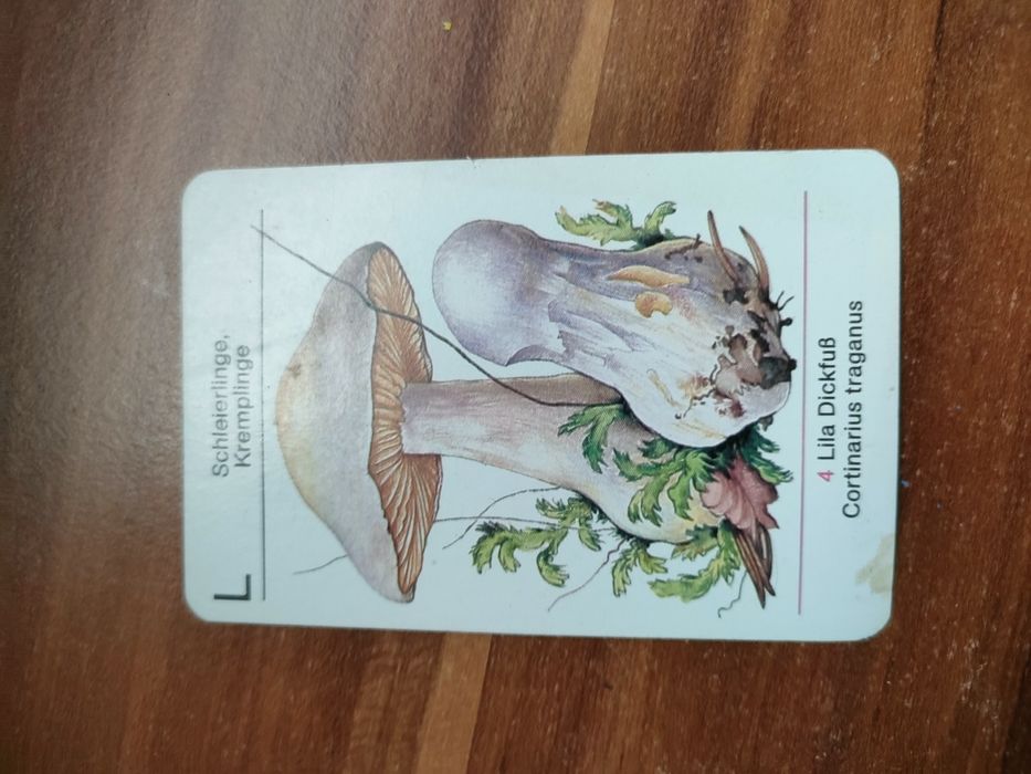 Karty edukacyjne grzyby PRL