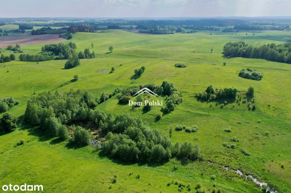 Działka z warunkami zabudowy - 7,28 ha - Świętajno - Widok 4