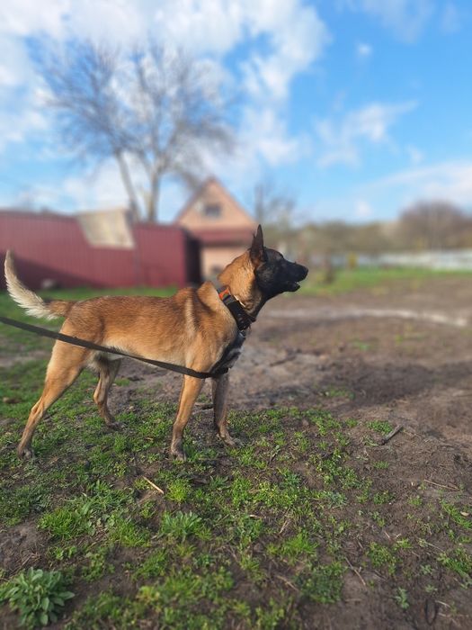 ХЛОПЧИК для вязки