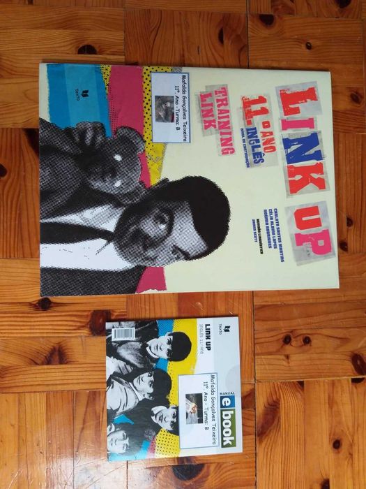 Link Up-11º ano Inglês