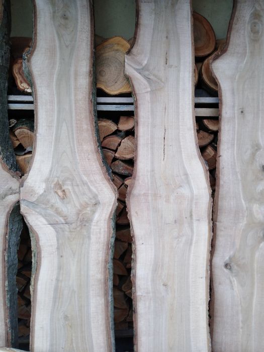 Deski orzecha włoskiego 50 mm