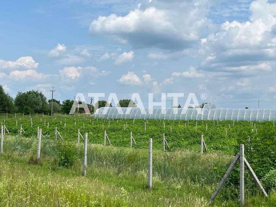 Продаж готового бізнесу з садівництвом м. Жовква