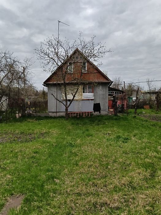 Дача "Тетерівський масив". Буки.  8сот.