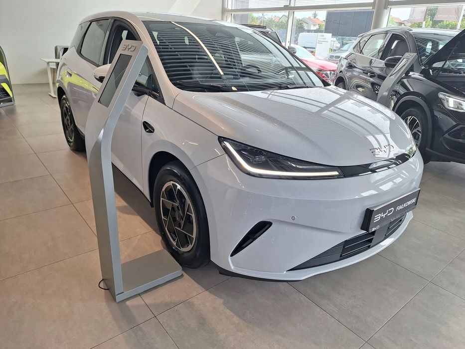 BYD Pozostałe BYD