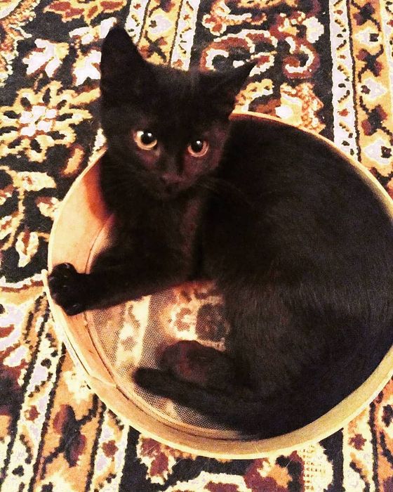 Хлопчик в добрі руки