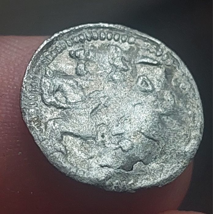 Denar 1501 - 1506 r. Wilno, Aleksander Jagiellończyk