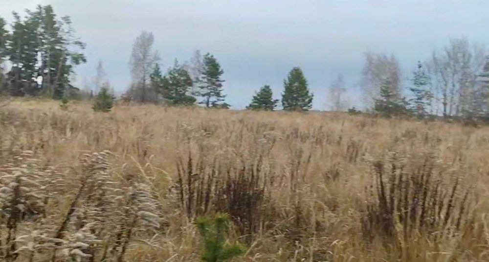 Земельний масив під базу відпочинку за дуже цікавою ціною!