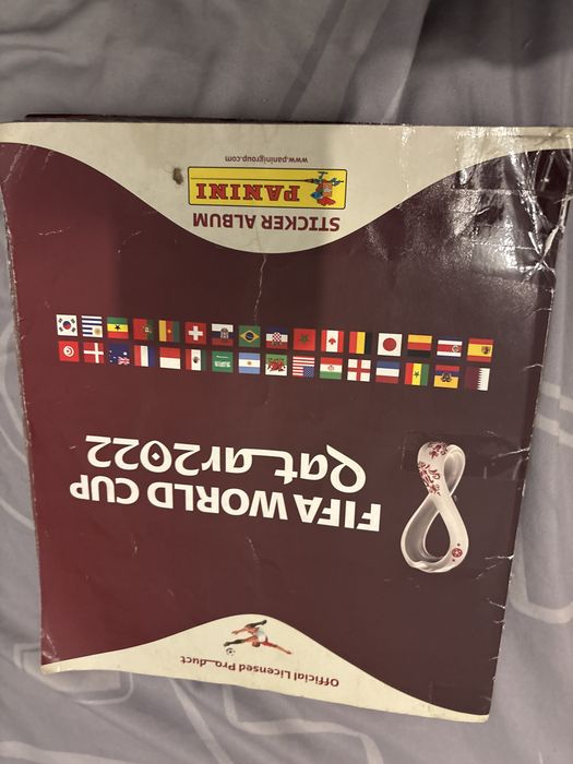 Copa do mundo 2022