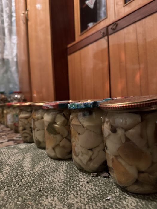 Білі, мариновані гриби. 3 банки.