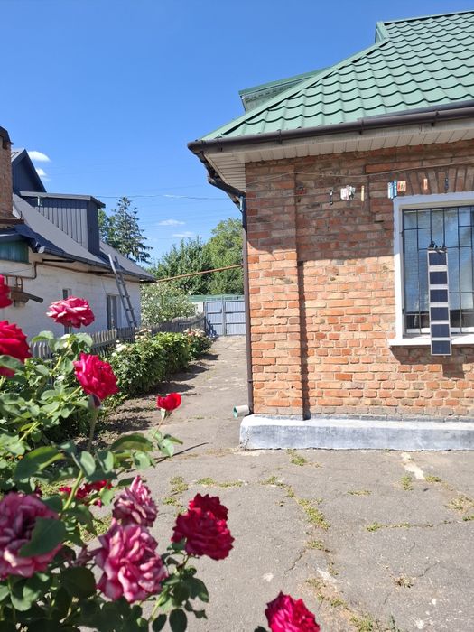 Продам  будинок  в Божедаровкі