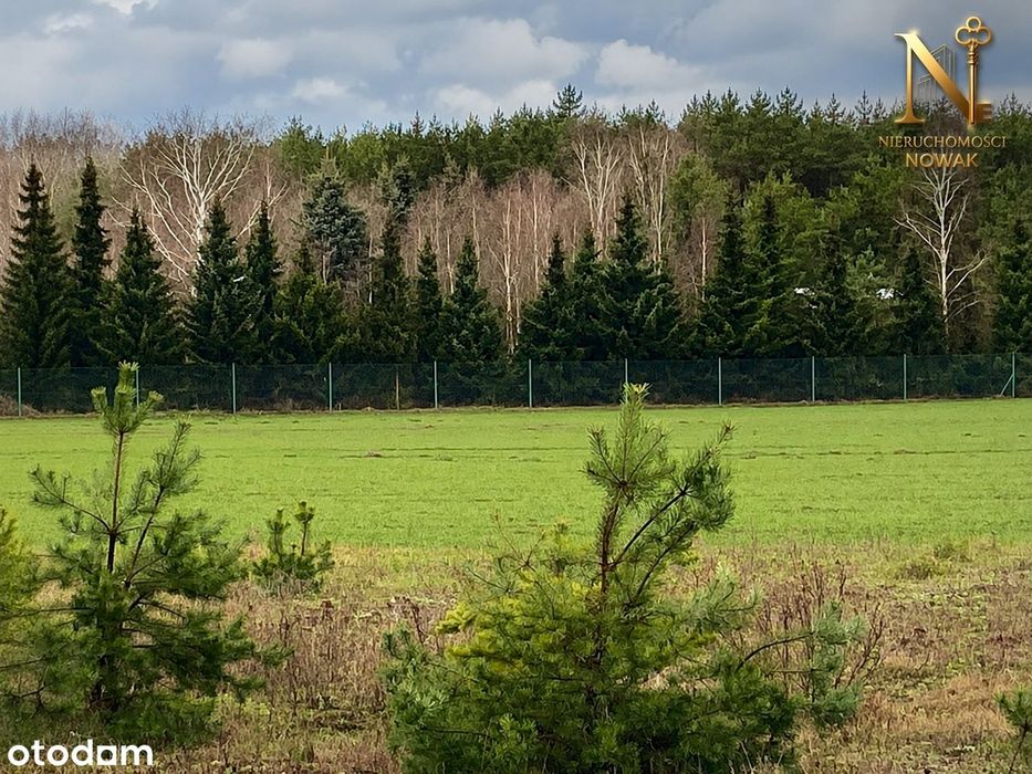Działka 1073 m² przy lesie – Szkocja, gmina Szubin