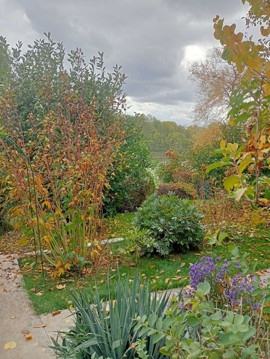 дом на берегу озера правый берег Днепра