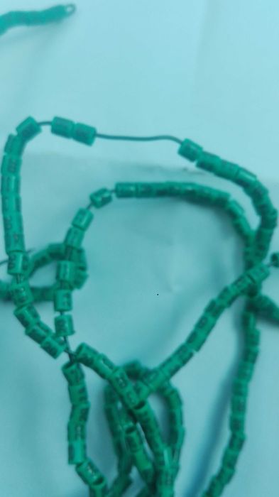 Vendo rossicollis agapornis