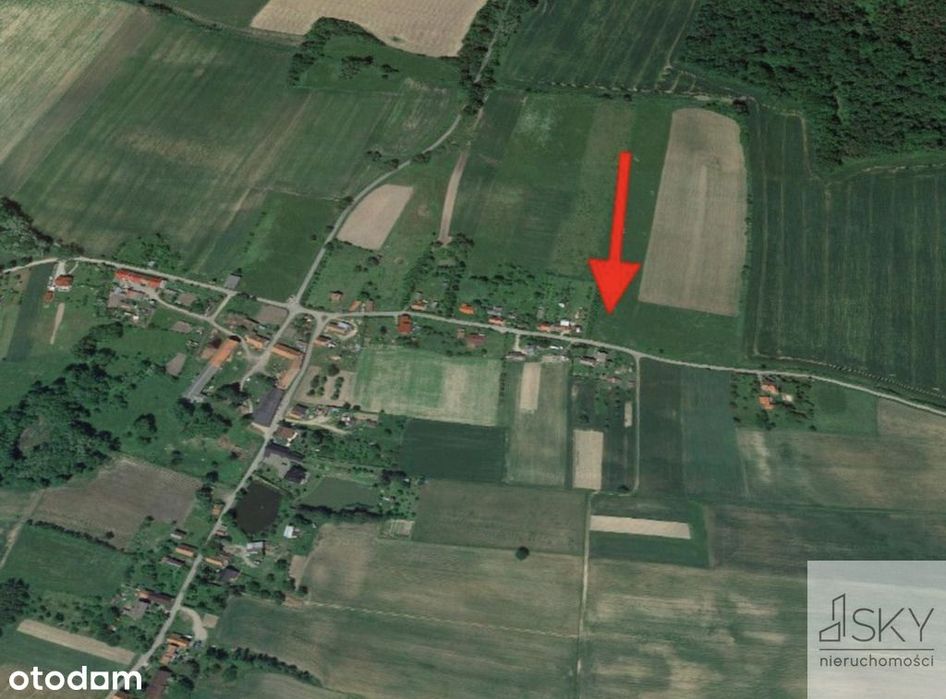 Działka budowlan 2640 m² – las, spokój, prywatność