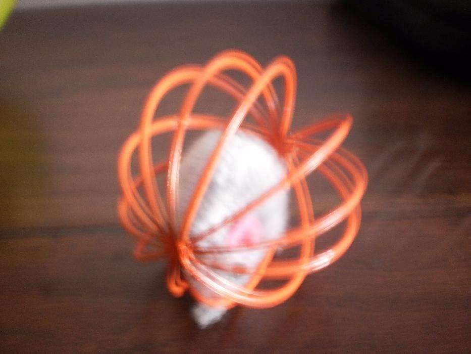 4 Acessórios Animais