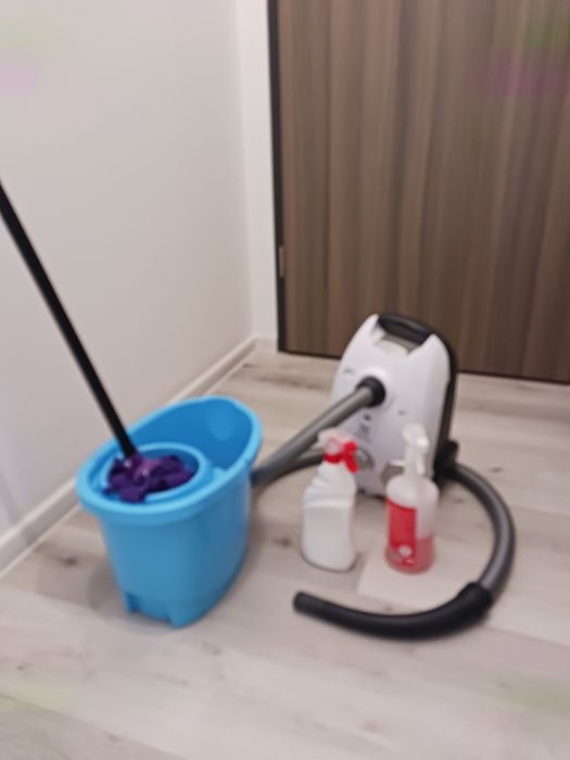 profesjonalne usługi sprzątające