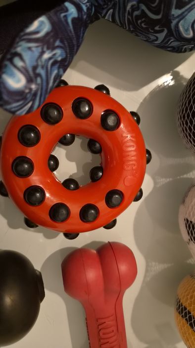 Lote de brinquedos para cão KONG