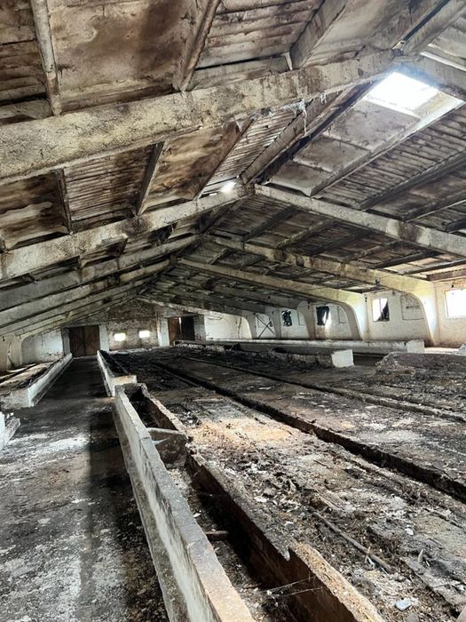 Молочно товарна ферма