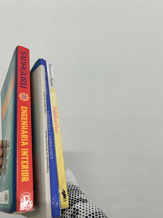 Livros 4 unidades bom estado