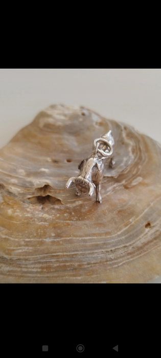 Medalha em prata 925