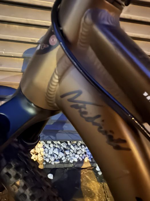 Rose the bruce2 custom