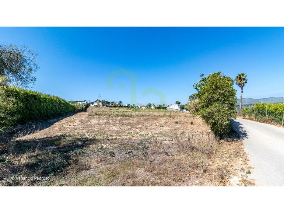 Terreno - Ericeira 4 km, A Casa das Casas
