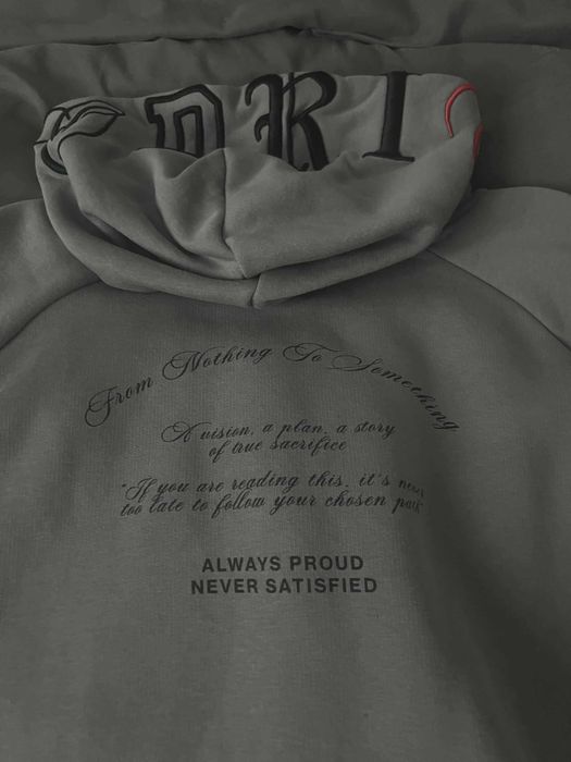 Bluza Hoodrich szara
