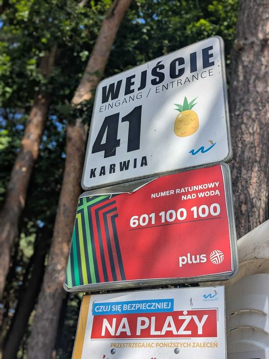 Zdjęcie 5