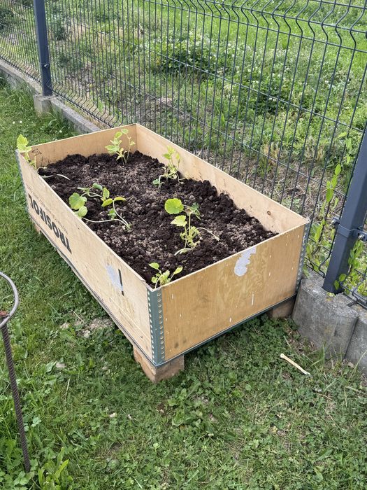 Skrzynia drewniana, tanio , skrzynie palety, transportowe