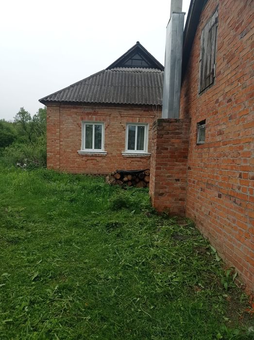 Продам будинок Недригайлівський район  село  засулля