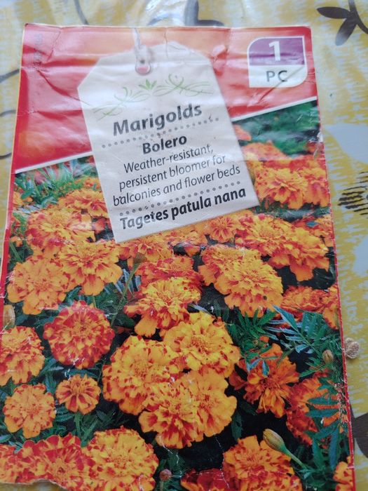 Продам семена чорнобривці