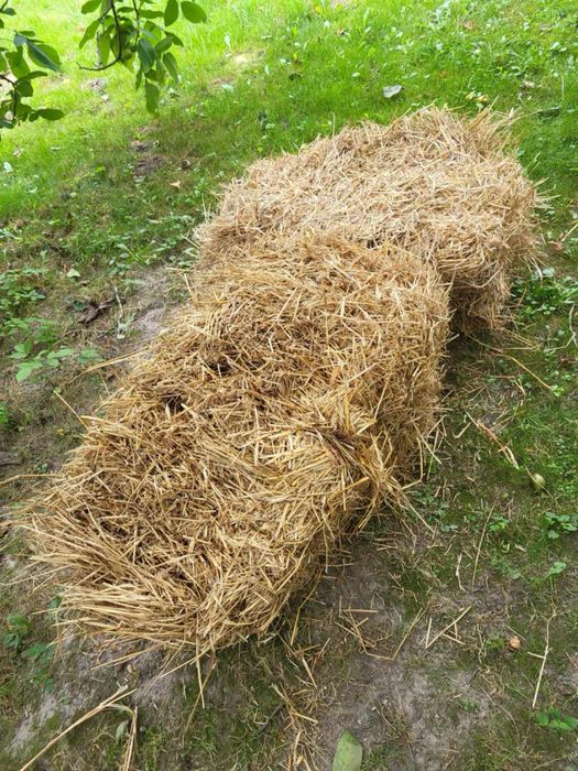 Słoma w kostkach