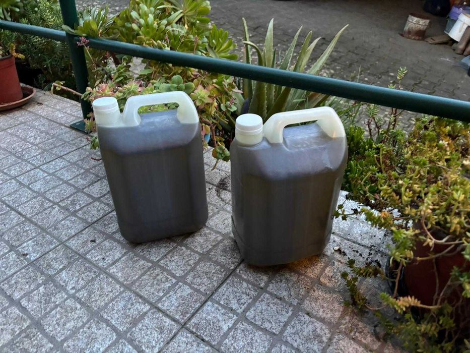 Azeite 2025 Virgem e super saboroso 100% Natural Sopé Serra Daire e Ca