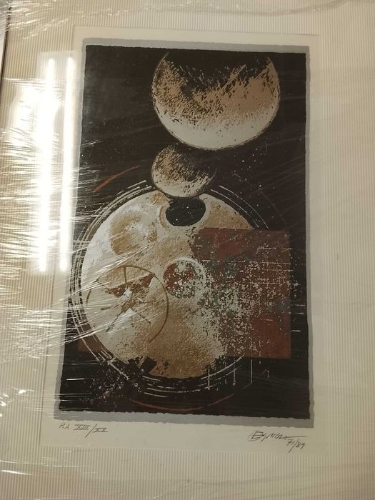 Serigrafia Espiga Pinto Benfica