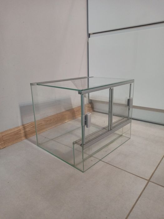 Terrarium po patyczakach