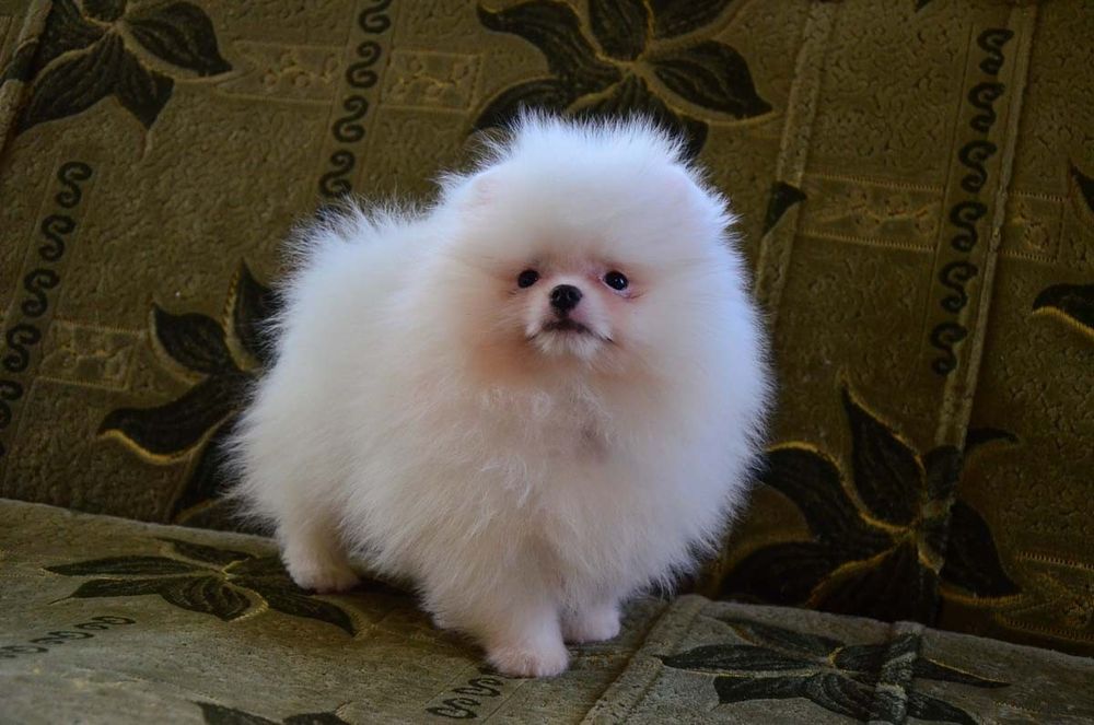 Мальчики и девочки 4,5 месяца.