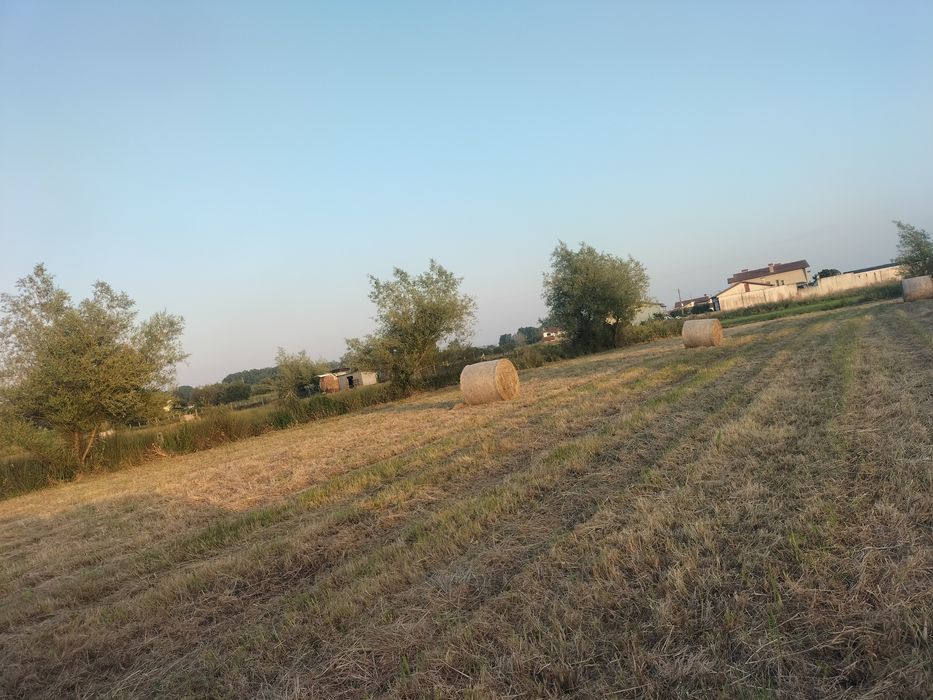 Rolos de palha para animais