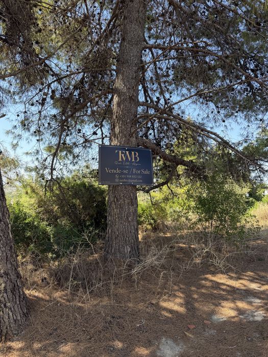 Lotes para 24 apartamentos PIP APROVADO em Santa Bárbara de Nexe