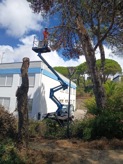 Grua com cesto - Aluguer