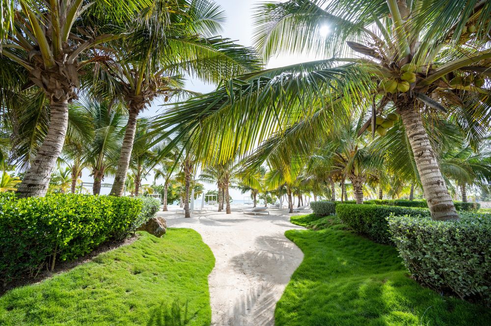 Noclegi w Republika Dominikana nad Morzem Karaibskim