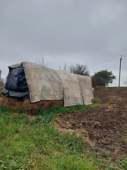 Продаються тюки соломи