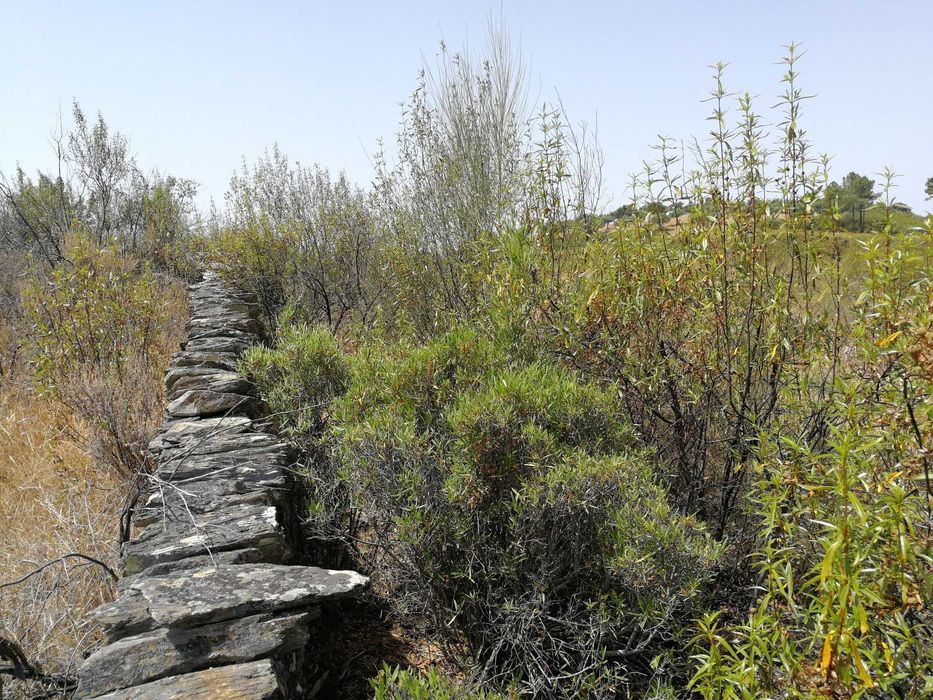 Oportunidade no Alto Alentejo - 26ha em Montalvão, perto da nova ponte