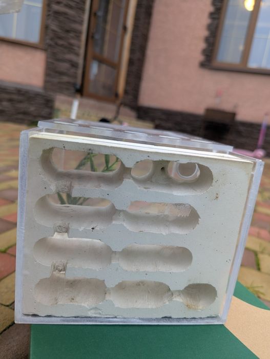 формікарій для мурах