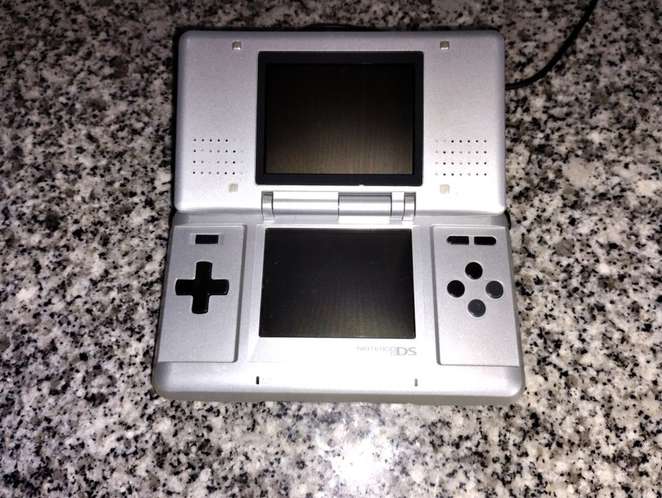 Nintendo DS + Nitendogs