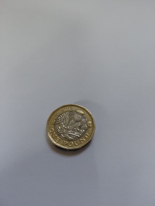 Moeda One Pound 2017