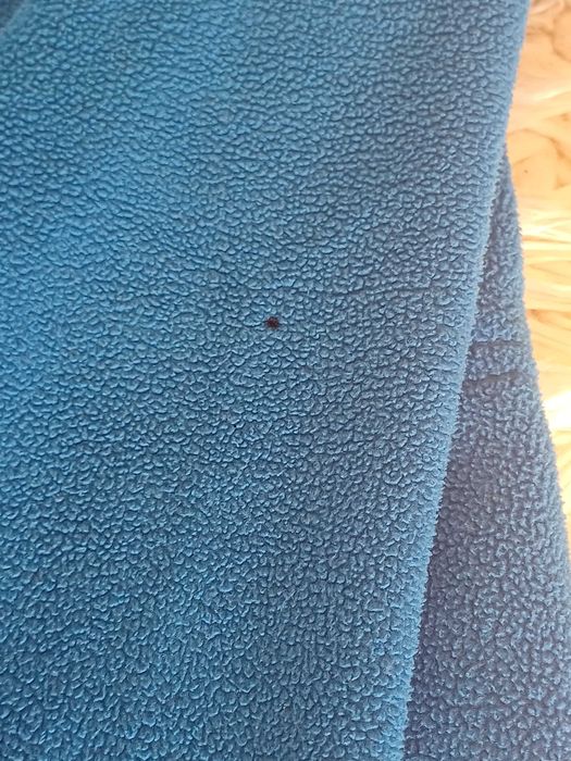 Bluza 4f dla chłopca ro miar  146cm