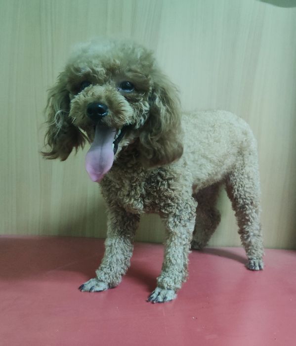 ‼️Девочка 1.4 мес ‼️